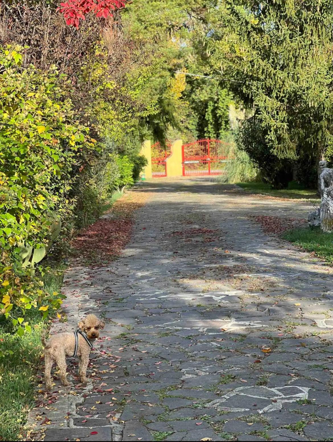 Villa Alberto Sulmona Kültér fotó